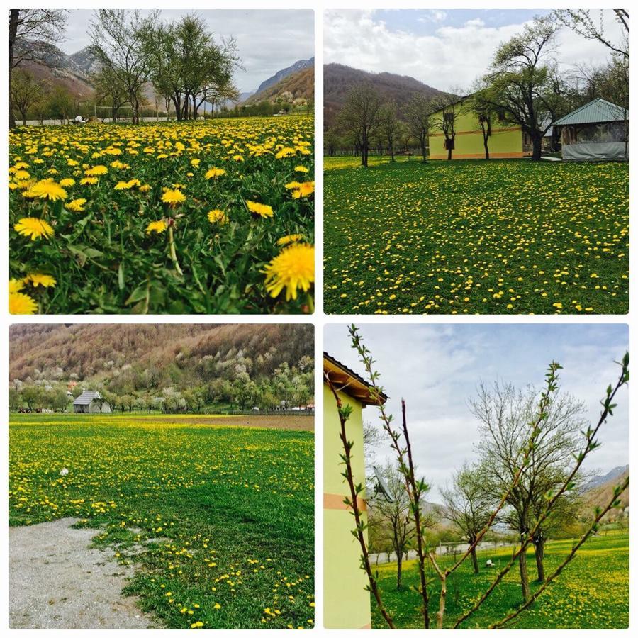 Peraj Guesthouse Vermosh 외부 사진