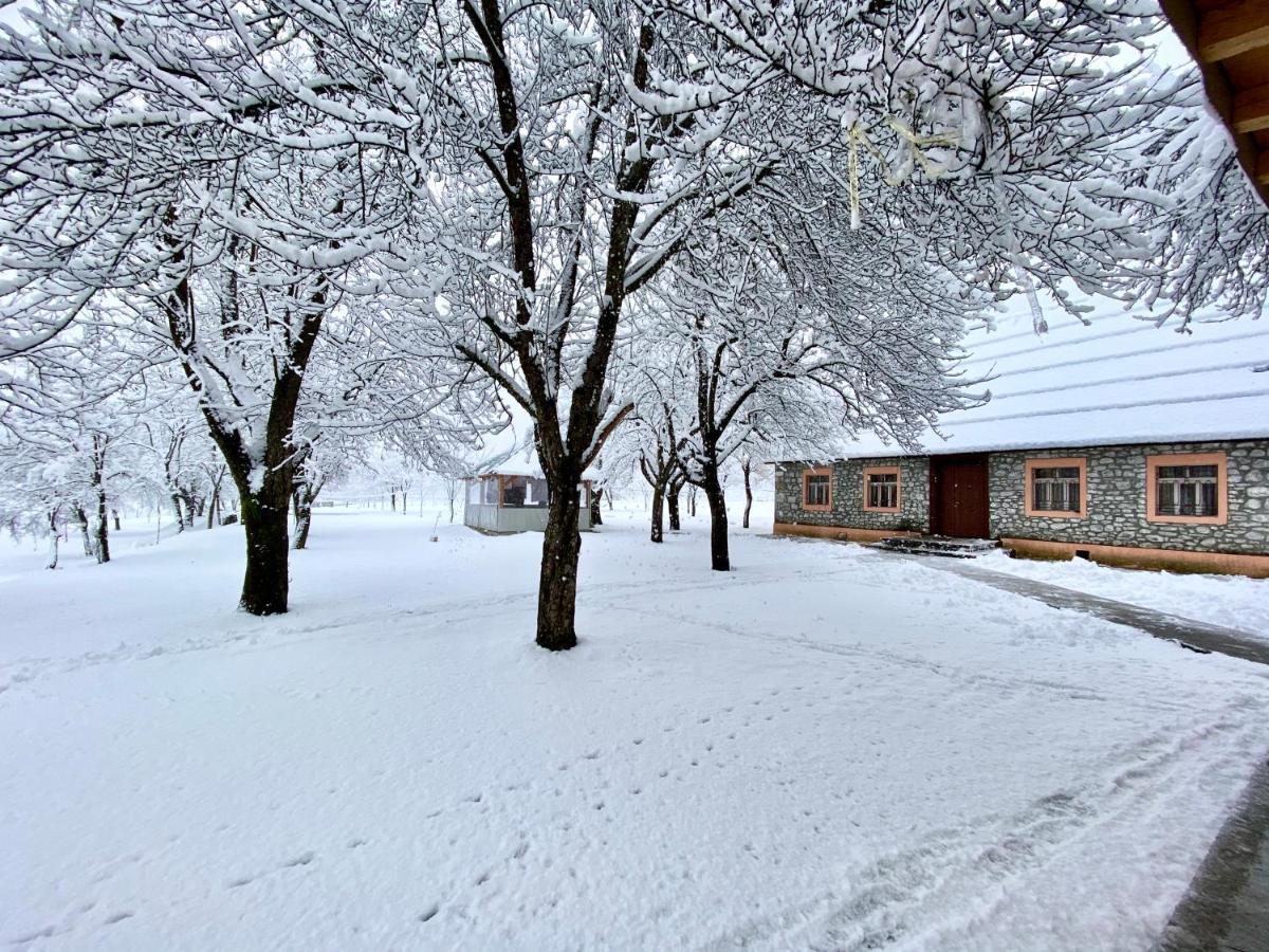Peraj Guesthouse Vermosh 외부 사진