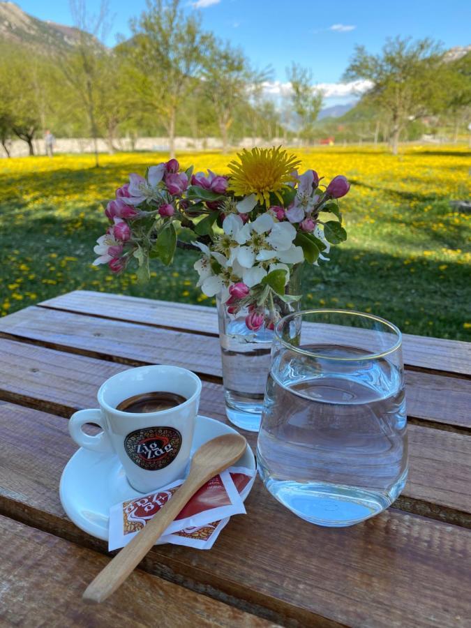 Peraj Guesthouse Vermosh 외부 사진